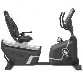 Commercial Station Bike 